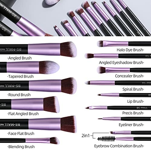 Set of various makeup brushes labeled for different uses.