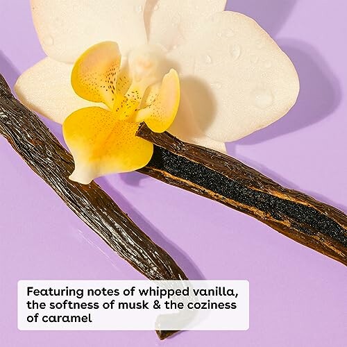 Vanilla flower and pods on a purple background.